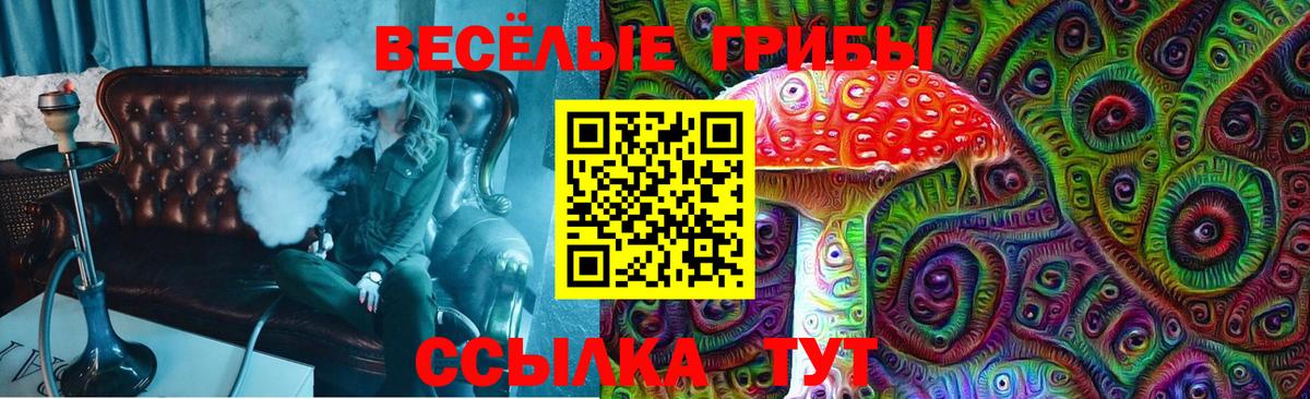 даркнет сайт  Вход с VPN  Великие Луки  Псилоцибиновые грибы Magic Shrooms 