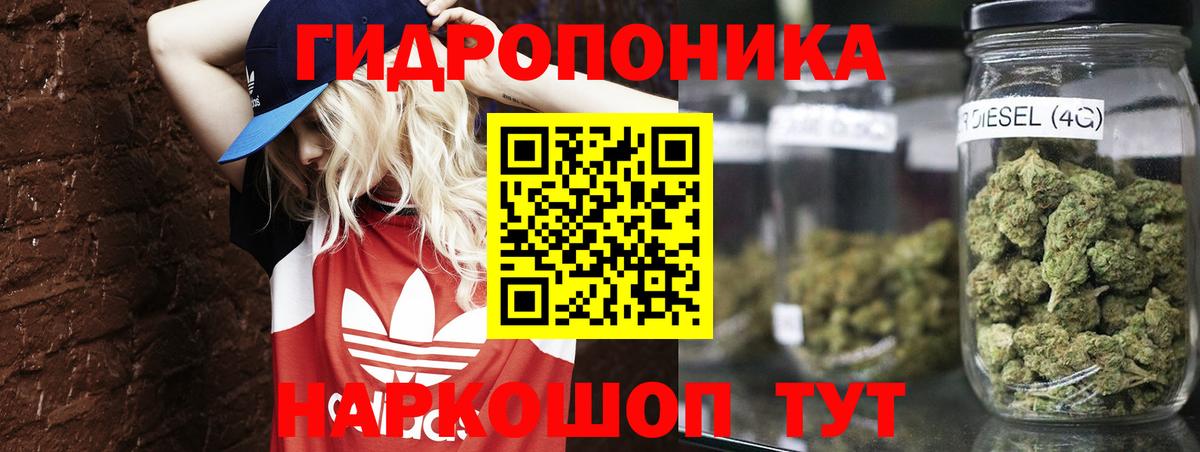 Шишки марихуана индика  Вход с VPN  Великие Луки  Марихуана MAZAR  Шишки марихуана Amnesia 